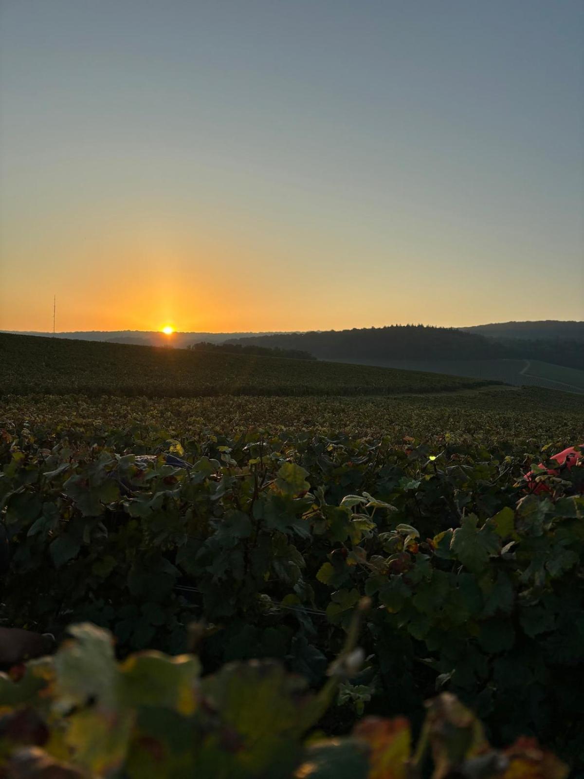 La Galipette, Charmant Chalet En Champagne Fleury-la-Riviere ภายนอก รูปภาพ